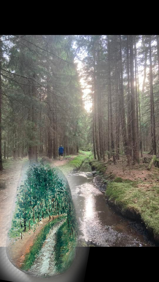 foto_D_S_1