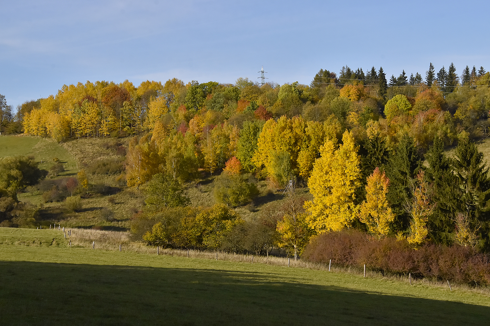 _DSC0581
